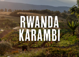 Rwanda Coffee, Kigeyo Bourbon