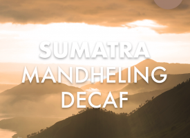 Sumatra Decaf Coffee Mandheling