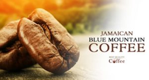 Best Blue Mountain Coffee