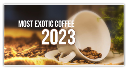 Best Exotic Coffee