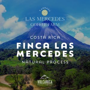 Costa Rica Coffee, Finca Las Mercedes, Natural Process
