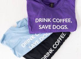 Hugo Coffee Roasters T-Shirt (Purple / Small)