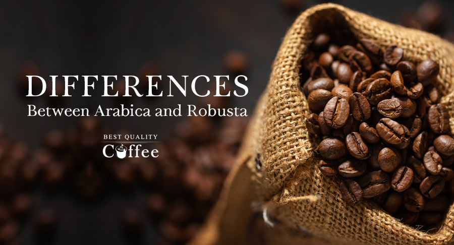 What's the Difference Between Robusta and Arabica Coffee