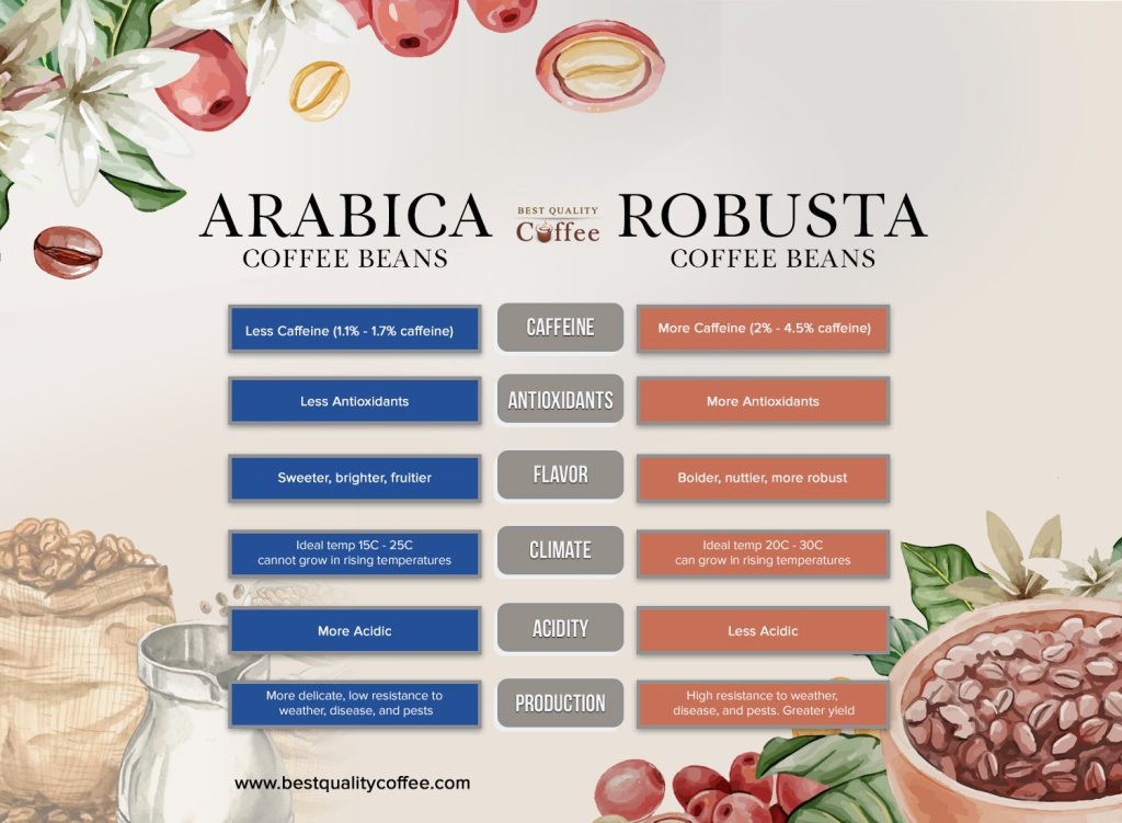 Arabica Coffee Beans versus Robusta Coffee Beans
