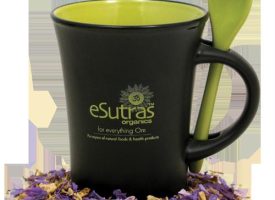 270003 Esutras Spoon Mug - Orange