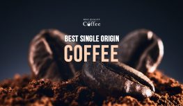 Best Single Origin Coffee