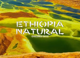 Ethiopia Natural Coffee, Natural Process