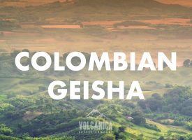 Colombian Geisha Coffee