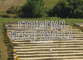 Ethiopian Genji Challa Coffee