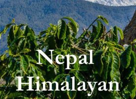 Nepal Coffee Himalayan