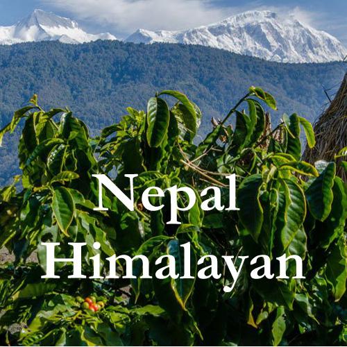 Nepal Coffee Himalayan Best Quality Coffee