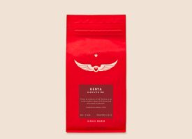 Kenya Gakuyuini