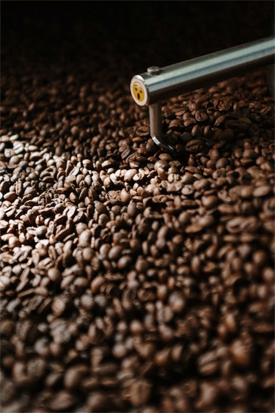 Best Honduras Coffee