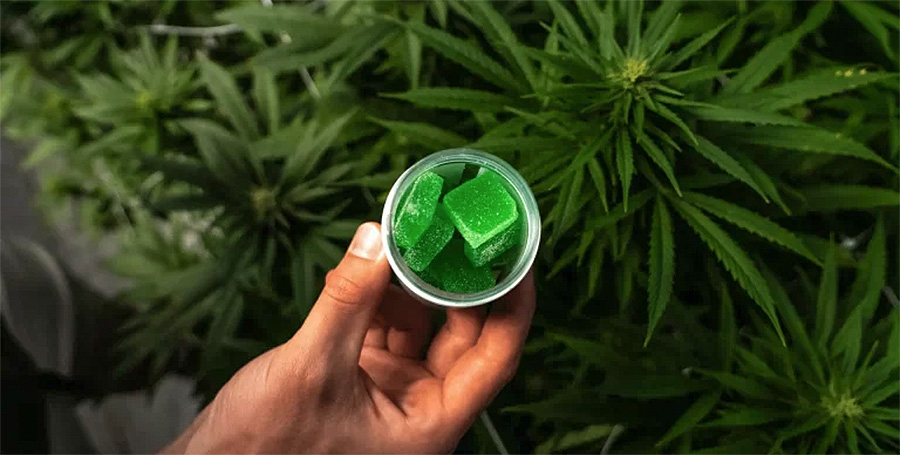 Mixing THC Gummies with Coffee