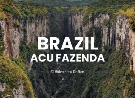 Brazil Acu Fazenda Coffee