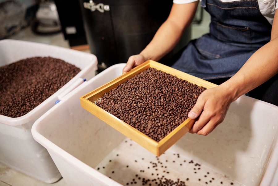 Coffee Beans and Sifting