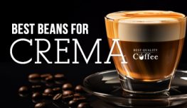 Best Coffee for Crema