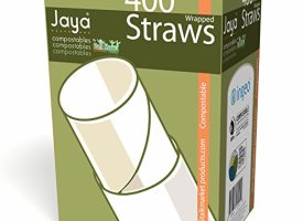 PLA-S6W-C Clear Straws Individually Wrapped - Pack of 4800