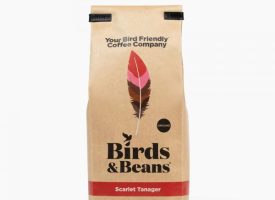 BAB100 Ground Scarlet Tanager Dark Roast Whole Bean Coffee