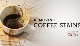 Remove Coffee Stains