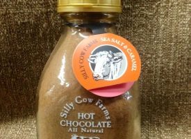 271067 16.9 oz Sea Salt Caramel Hot Chocolate, Pack of 6