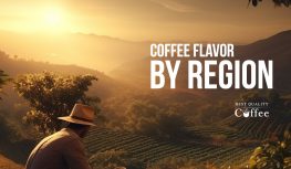 Coffee Flavor by Region