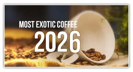 Best Exotic Coffee Best Exotic Coffee