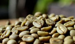 Green Coffee Beans