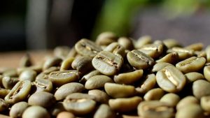 Green Coffee Beans